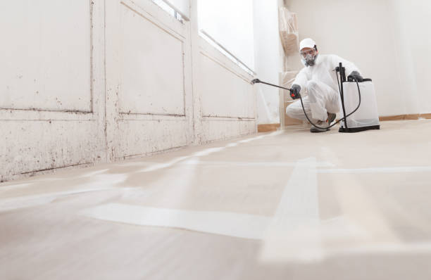 24/7 Emergency Commercial Mold Remediation experts in Rocky Mount, VA